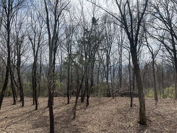 1 Acre of Residential Land for Sale in Signal Mountain, Tennessee