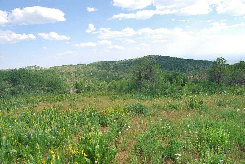 295 Acres of Recreational Land for Sale in Craig, Colorado