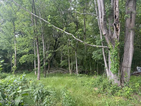 8.9 Acres of Residential Land for Sale in Jacks Creek, Tennessee