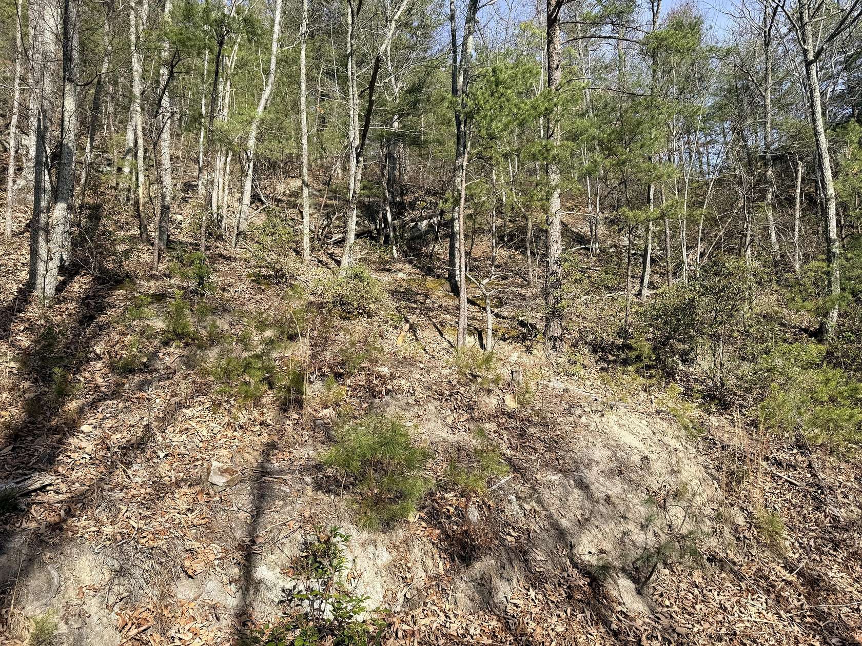 0.54 Acres of Residential Land for Sale in Sevierville, Tennessee