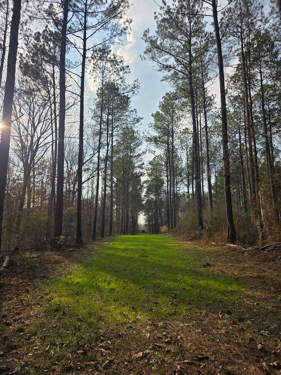359 Acres of Land for Sale in Bogue Chitto, Mississippi