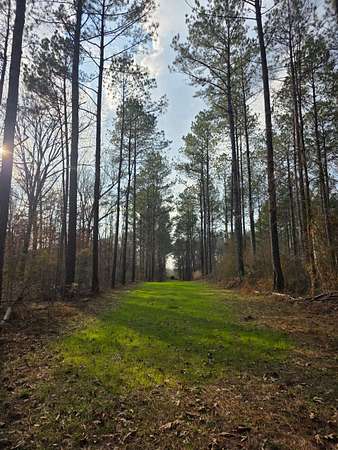 359 Acres of Land for Sale in Bogue Chitto, Mississippi