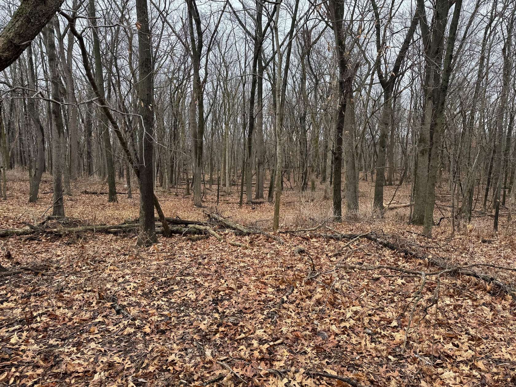 160 Acres of Recreational Land for Sale in Covington, Indiana