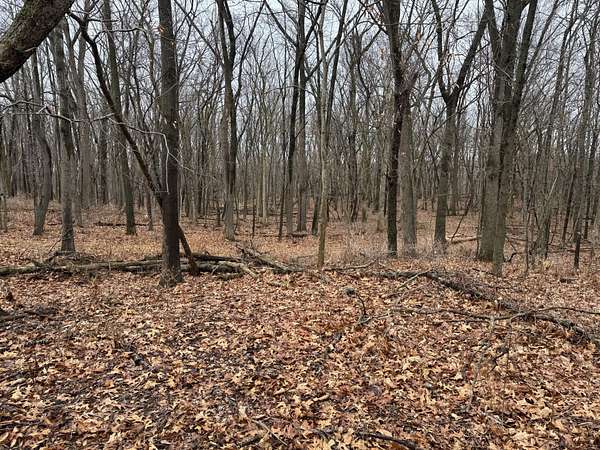 160 Acres of Recreational Land for Sale in Covington, Indiana