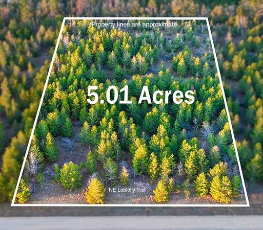 5 Acres of Land for Sale in Lee, Florida