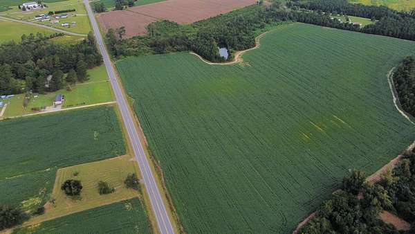 65.2 Acres of Land for Sale in Green Sea, South Carolina