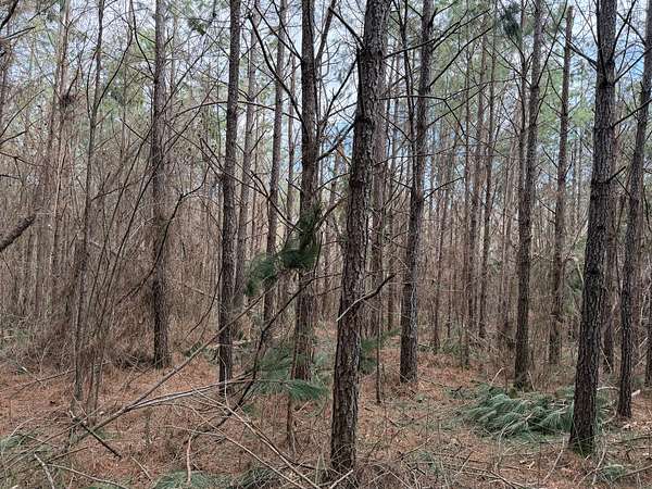 4 Acres of Land for Sale in Savannah, Tennessee