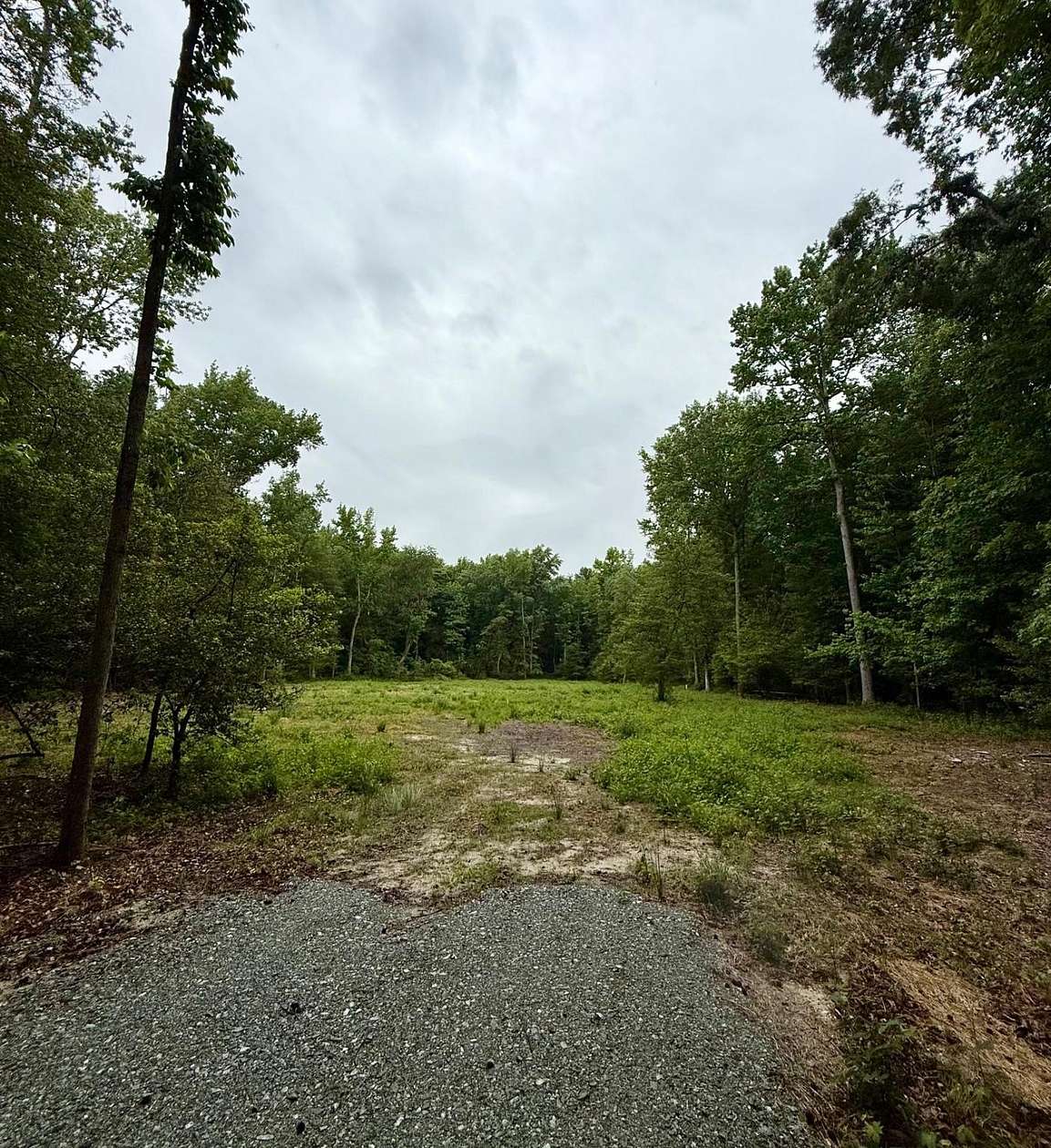 7.5 Acres of Residential Land for Sale in Greenwood, Delaware