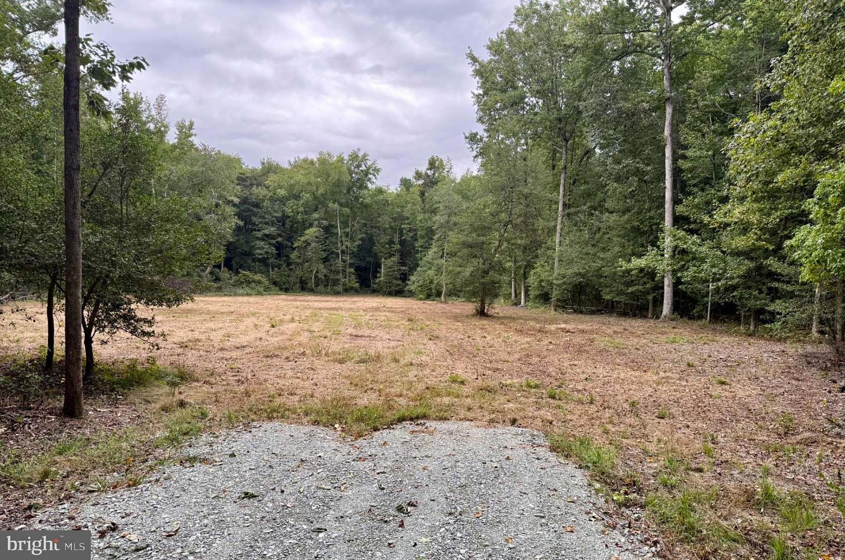 7.5 Acres of Residential Land for Sale in Greenwood, Delaware