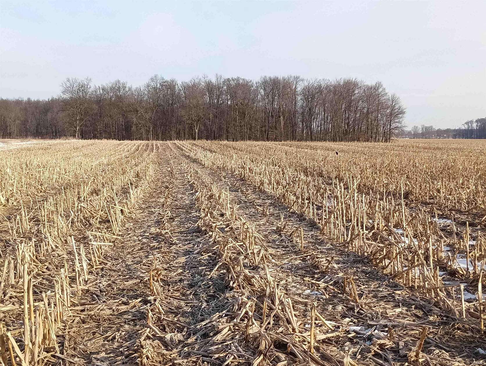 62.7 Acres of Land for Sale in Millersburg, Indiana