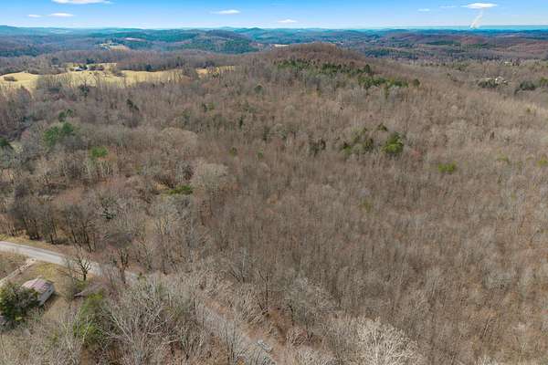 54.9 Acres of Recreational & Residential Land for Sale in Niota, Tennessee