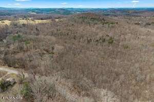 54.9 Acres of Recreational & Residential Land for Sale in Niota, Tennessee