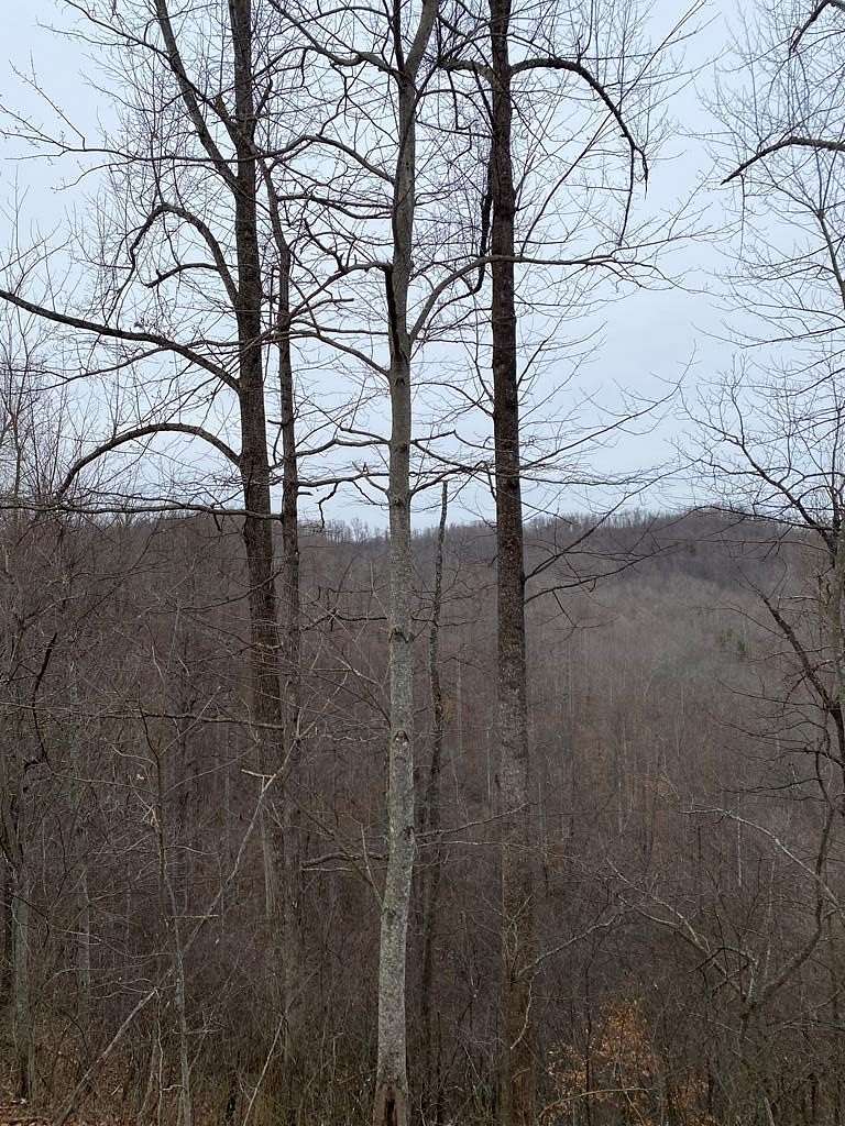 107 Acres of Recreational & Residential Land for Sale in Salyersville, Kentucky