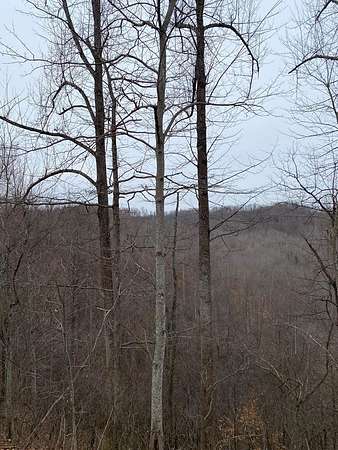 107 Acres of Recreational & Residential Land for Sale in Salyersville, Kentucky