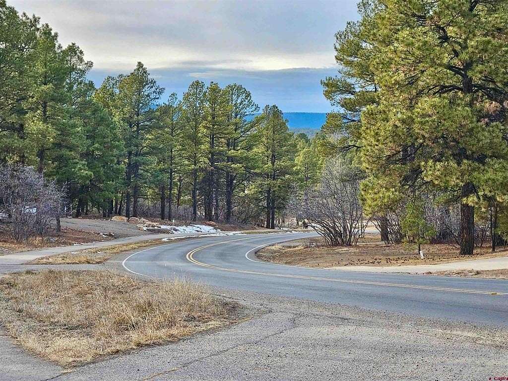 0.34 Acres of Land for Sale in Pagosa Springs, Colorado