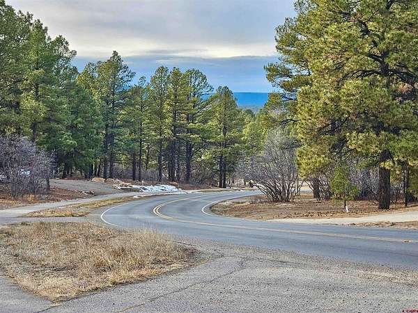 0.34 Acres of Residential Land for Sale in Pagosa Springs, Colorado