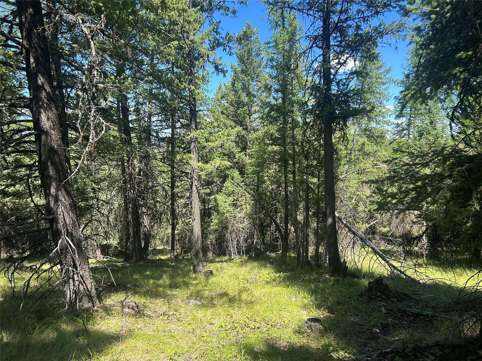 10 Acres of Land for Sale in Kila, Montana