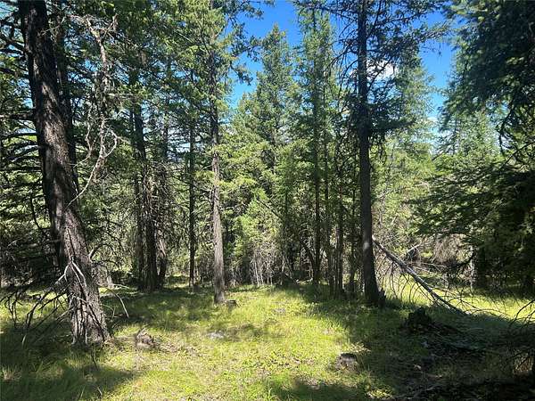10 Acres of Land for Sale in Kila, Montana