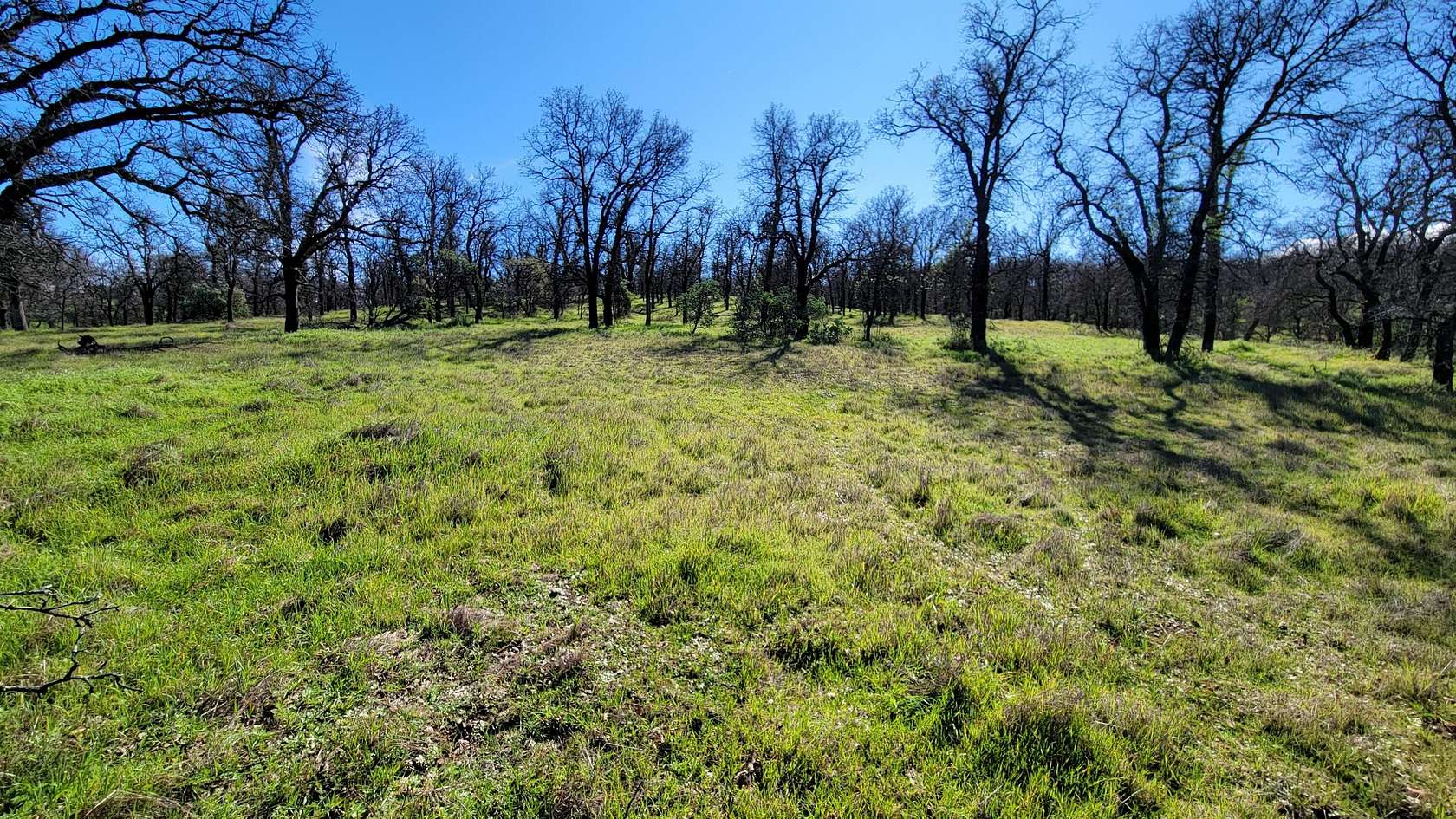 8.29 Acres of Residential Land for Sale in Cottonwood, California