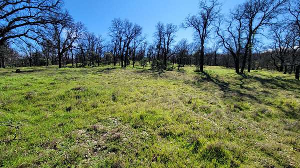 8.29 Acres of Residential Land for Sale in Cottonwood, California