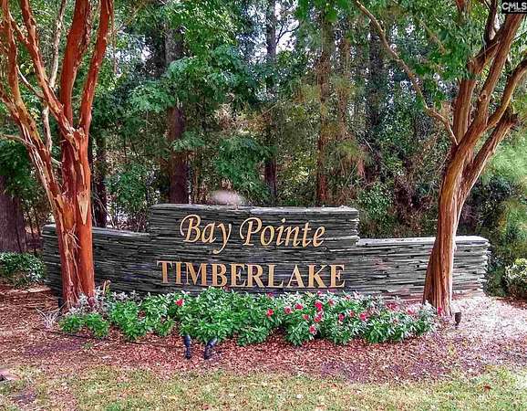0.28 Acres of Residential Land for Sale in Chapin, South Carolina