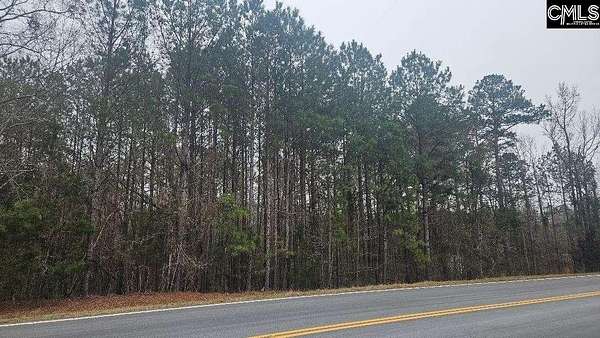 15 Acres of Recreational & Residential Land for Sale in Pomaria, South Carolina