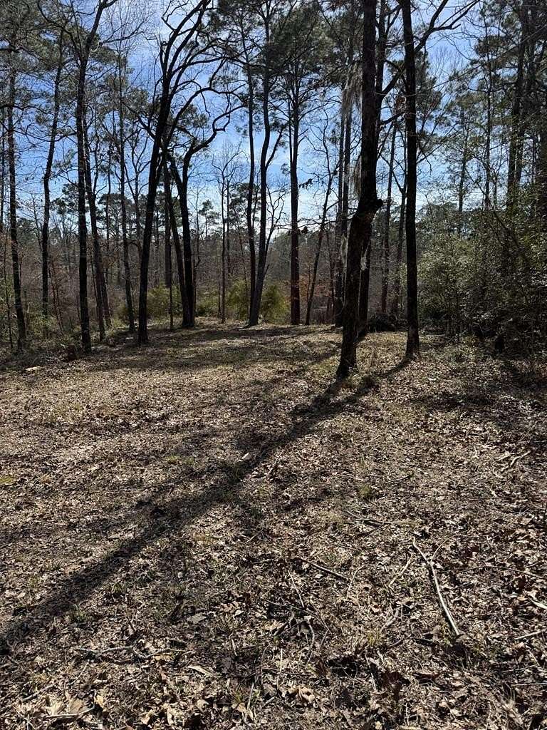 0.3 Acres of Residential Land for Sale in Broaddus, Texas