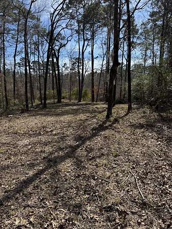 0.3 Acres of Residential Land for Sale in Broaddus, Texas