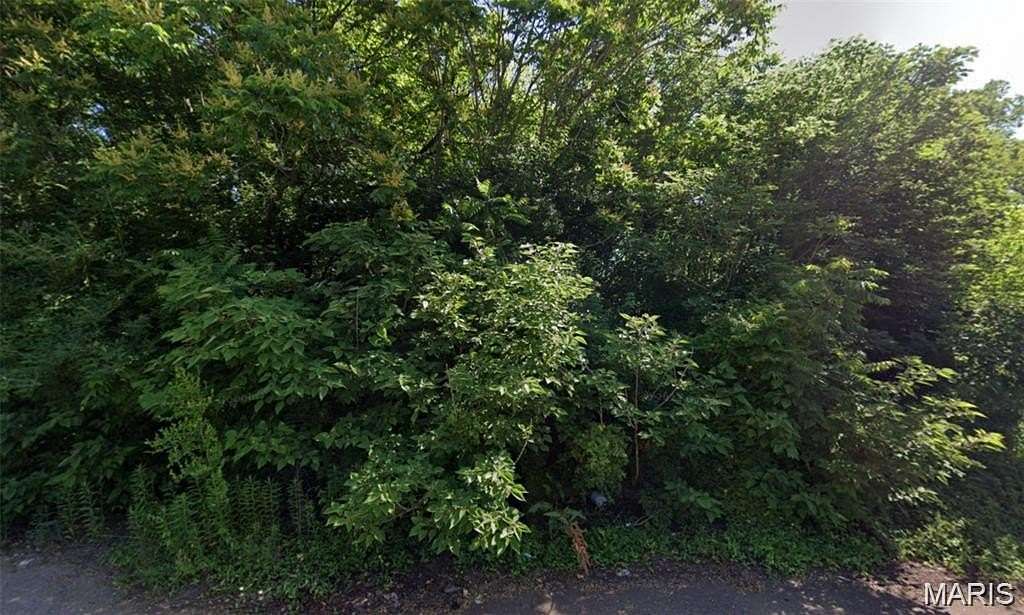0.14 Acres of Residential Land for Sale in East St. Louis, Illinois