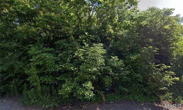 0.14 Acres of Residential Land for Sale in East St. Louis, Illinois