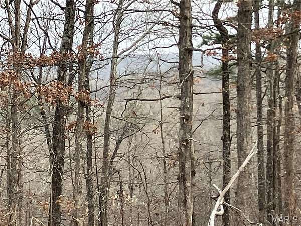 13 Acres of Land for Sale in Fredericktown, Missouri