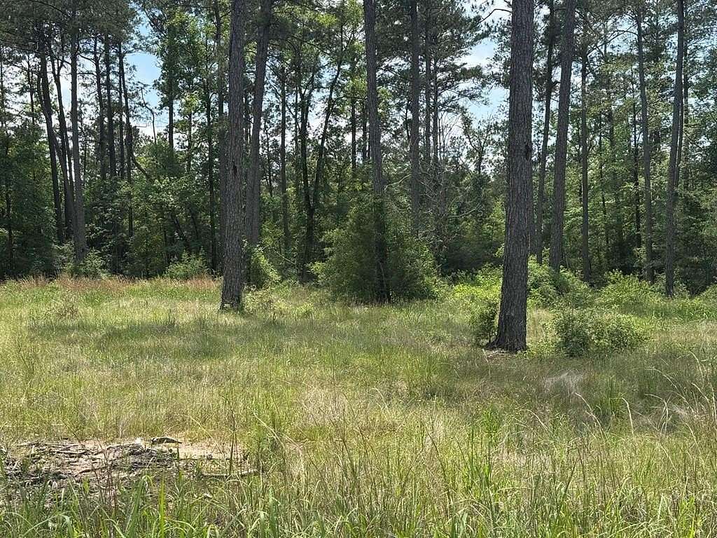 1 Acre of Residential Land for Sale in Brookeland, Texas