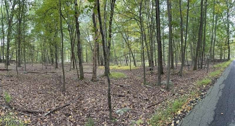 4.45 Acres of Residential Land for Sale in Blairstown Township, New Jersey