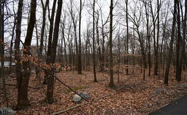 4.45 Acres of Residential Land for Sale in Blairstown Township, New Jersey