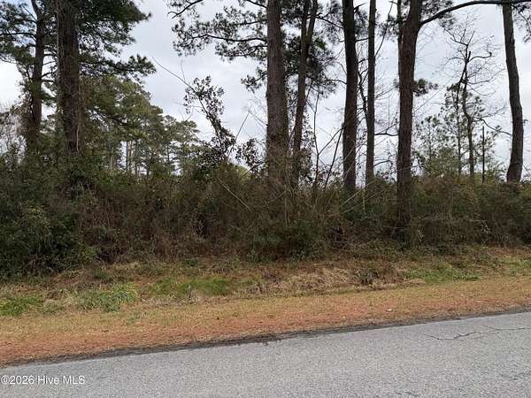 65.2 Acres of Recreational Land for Sale in Sea Level Township, North Carolina