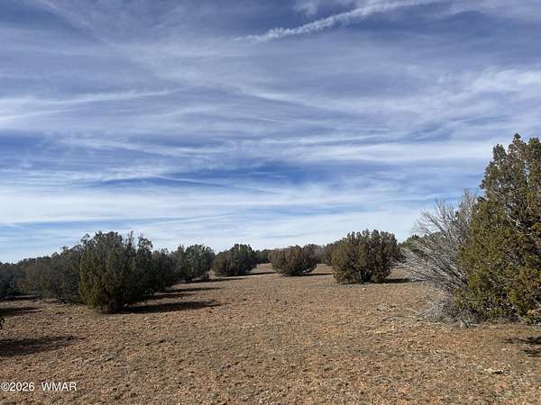 37.5 Acres of Recreational & Residential Land for Sale in Show Low, Arizona