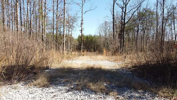 5 Acres of Residential Land for Sale in Spencer, Tennessee