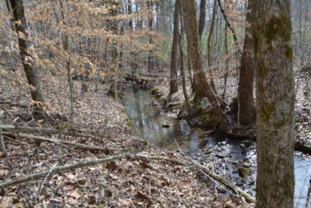 87 Acres of Land for Sale in Hilham, Tennessee