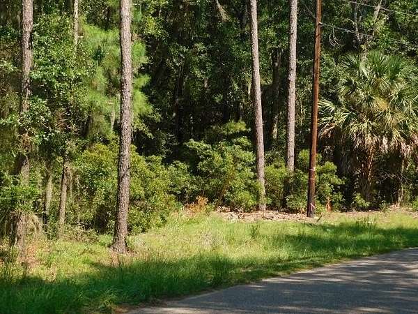 2.67 Acres of Residential Land for Sale in Edisto Island, South Carolina