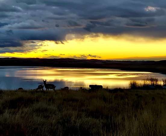 5.4 Acres of Residential Land for Sale in Buffalo, Wyoming