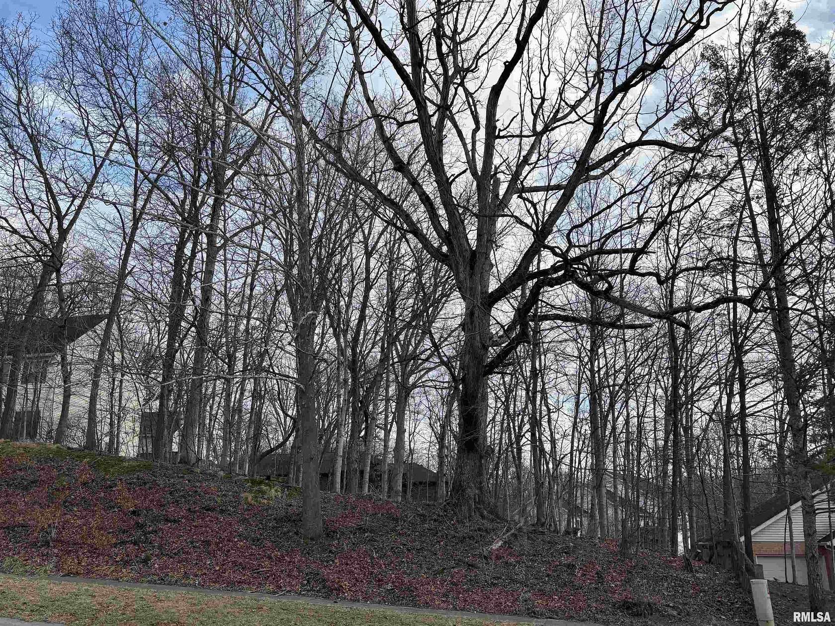 0.33 Acres of Residential Land for Sale in Springfield, Illinois