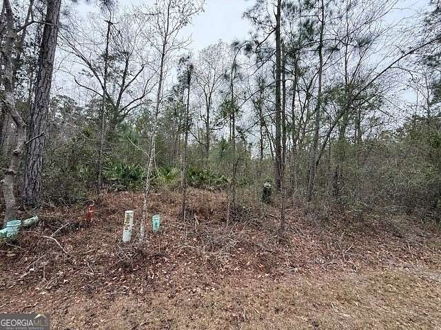 0.67 Acres of Residential Land for Sale in Woodbine, Georgia