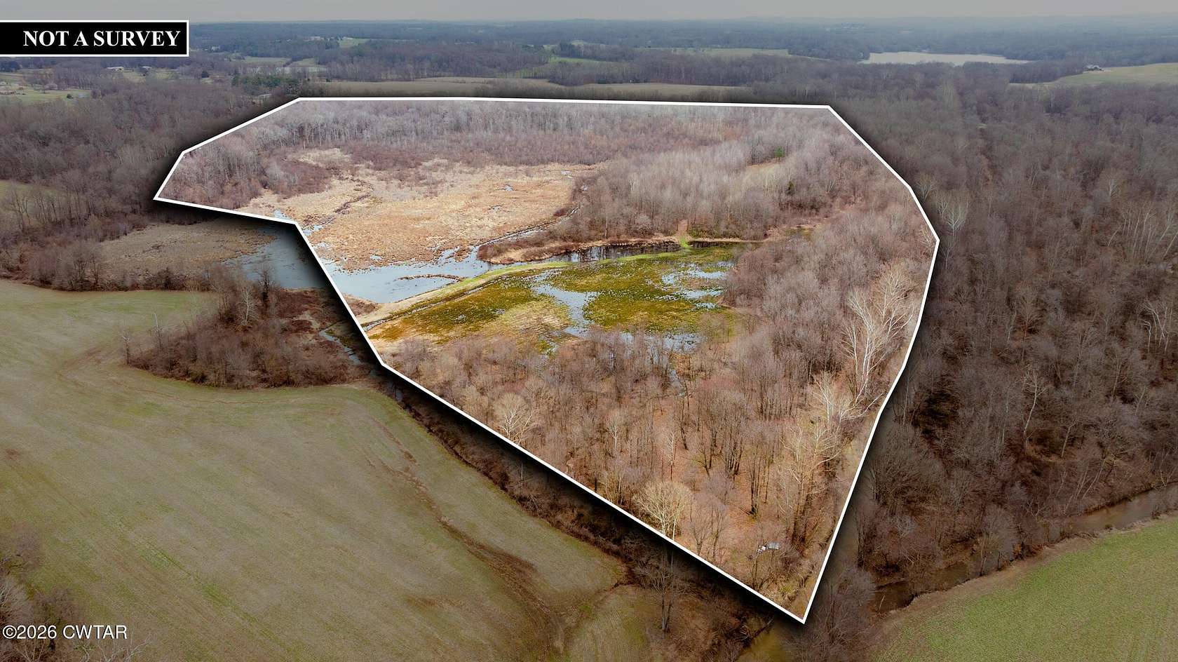 93.8 Acres of Recreational Land for Sale in Paris, Tennessee