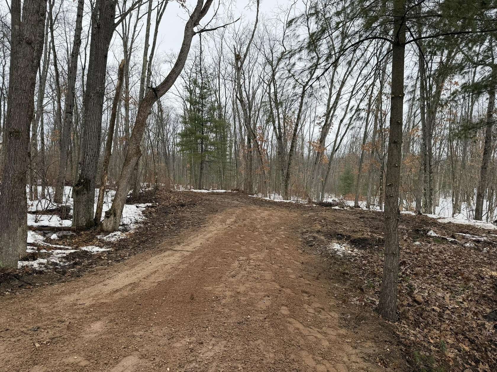 3.27 Acres of Residential Land for Sale in Wellston, Michigan