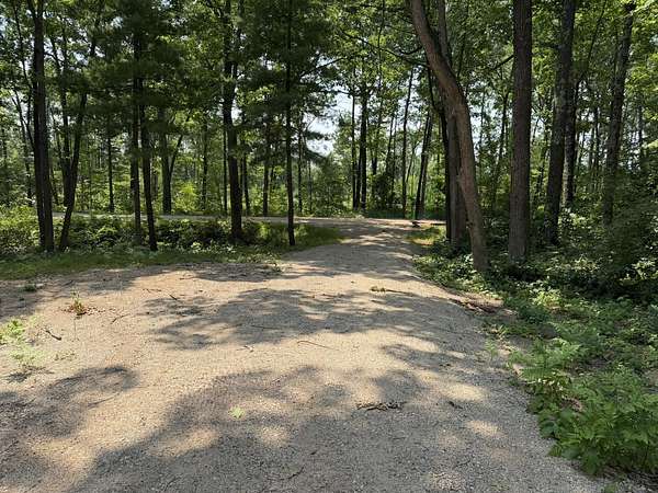 3.27 Acres of Residential Land for Sale in Wellston, Michigan