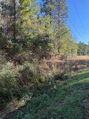 3 Acres of Land for Sale in Hattiesburg, Mississippi