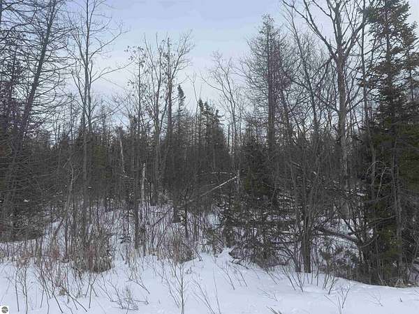 9.88 Acres of Residential Land for Sale in Suttons Bay, Michigan