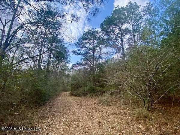 10 Acres of Recreational & Residential Land for Sale in McComb, Mississippi