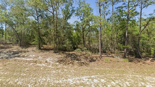 0.26 Acres of Residential Land for Sale in Dunnellon, Florida