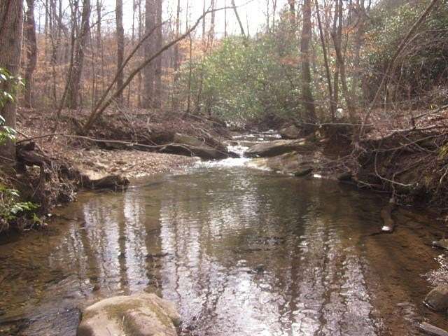 35 Acres of Recreational Land for Sale in Talking Rock, Georgia